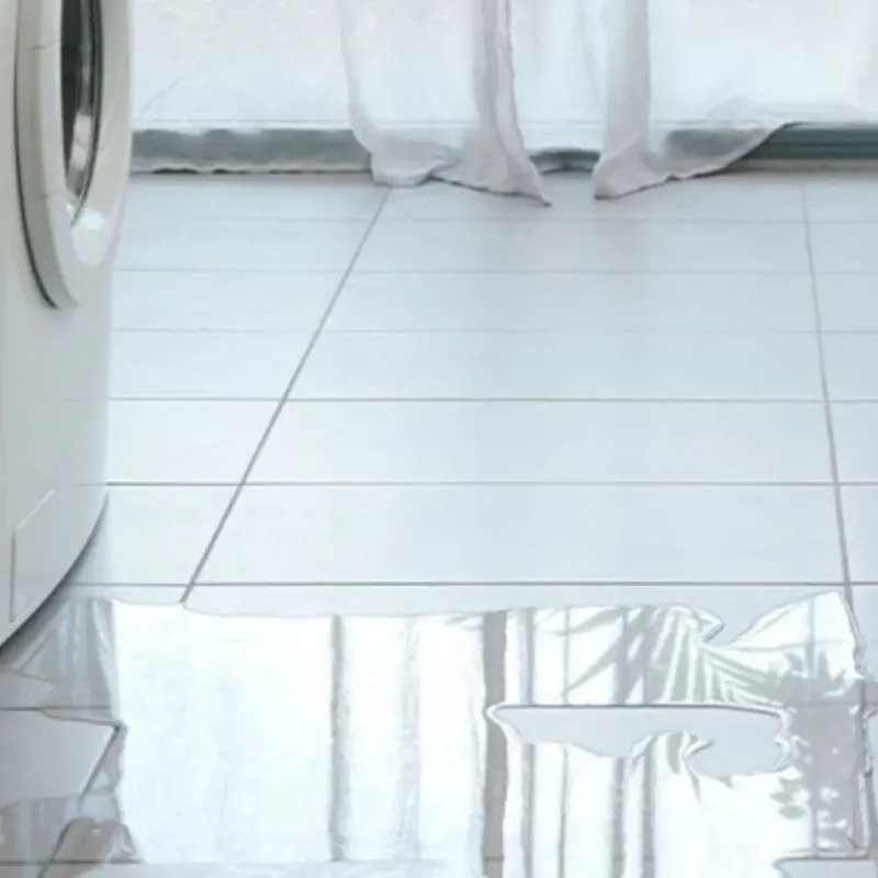 Appliance Leak Cleanup in Rancho Murieta, CA