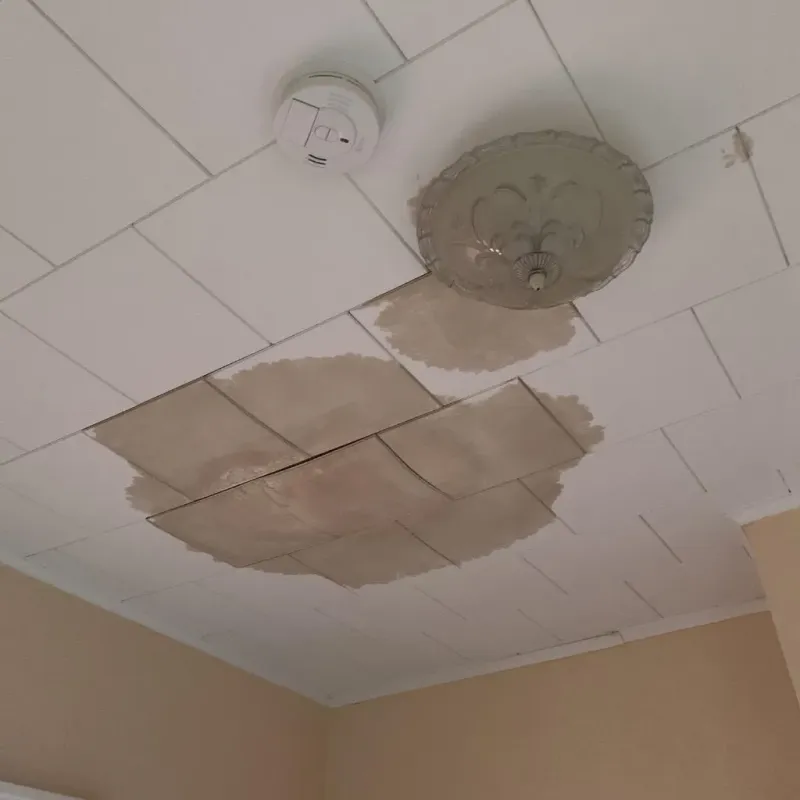 Ceiling Water Damage Repair in Rancho Murieta, CA